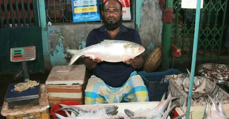 ‘আগে ভাত খাওয়ার সময় পেতাম না, এখন ভাতের টাকাও ওঠে না’