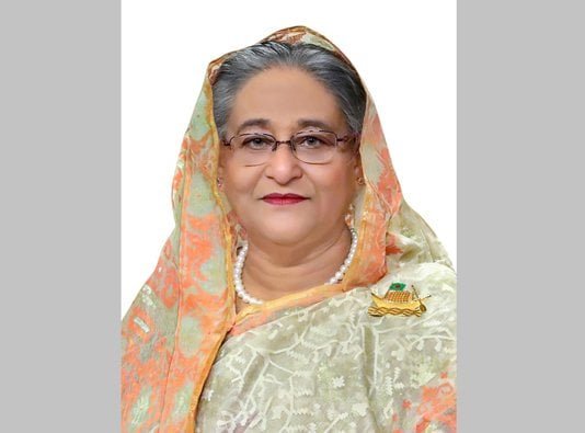 হেপাটাইটিস নির্ণয়ে পরীক্ষা করুন, টিকা নিন : প্রধানমন্ত্রী