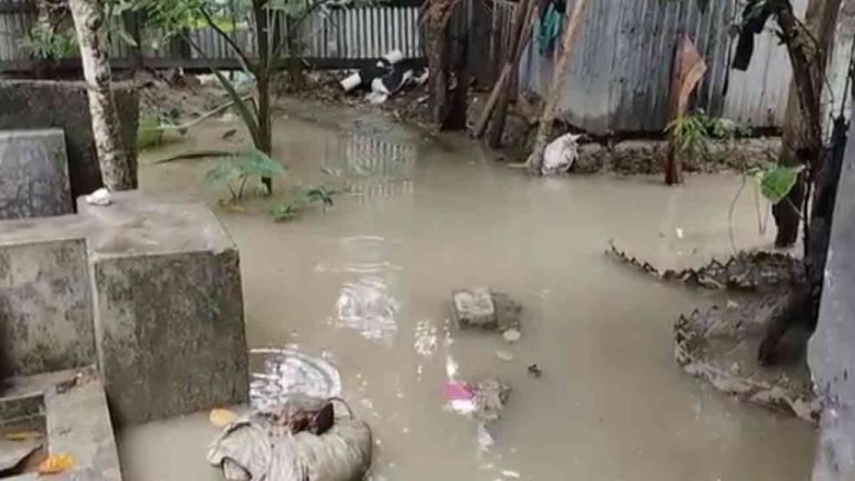 পটুয়াখালীতে অতিভারী বৃষ্টিতে জলাবদ্ধতা, মৎস্য ও কৃষিখাতে ব্যাপক ক্ষতি