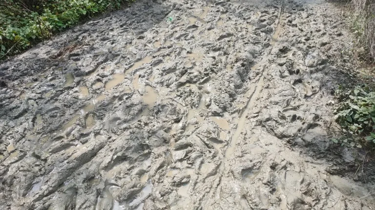রাস্তা নয় যেন চাষের জমি