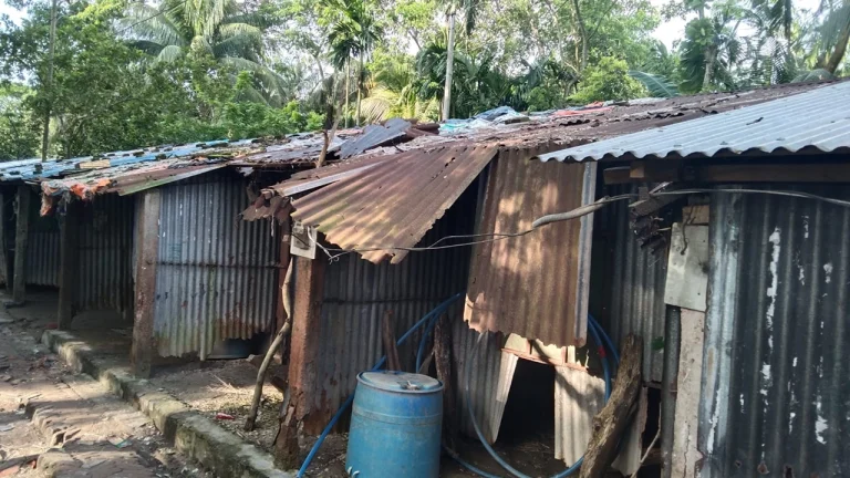 ভোলায় চরম দুর্ভোগে জরাজীর্ণ আবাসনের বাসিন্দারা
