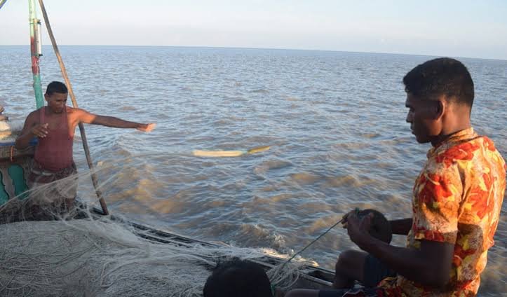 মিলছে না কাক্সিক্ষত ইলিশ উপকূলে জেলেদের হতাশা