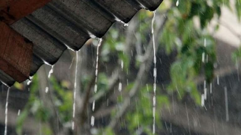 রোববারের বৃষ্টিপাত নিয়ে যা জানাল আবহাওয়া অধিদপ্তর