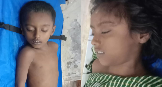দুমকিতে ভাইকে বাঁচাতে যেয়ে বোনেরও মৃত্যু
