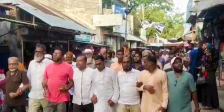 কেন্দ্রীয় বিএনপি নেতার আগমনী বার্তায় কলাপাড়ায় আনন্দ মিছিল