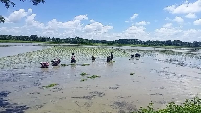 পটুয়াখালীতে জোরপূর্বক ভাবে জমি দখলের অভিযোগ