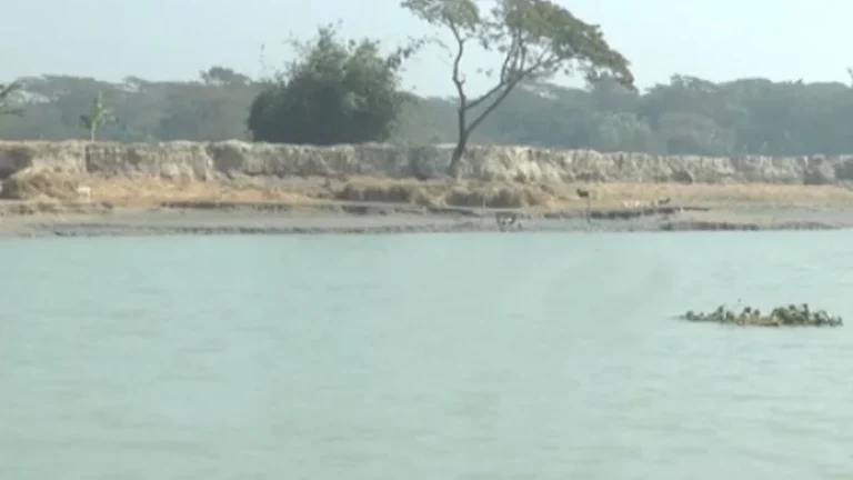 রাঙ্গাবালীতে অজ্ঞাত ব্যক্তির লাশ উদ্ধার