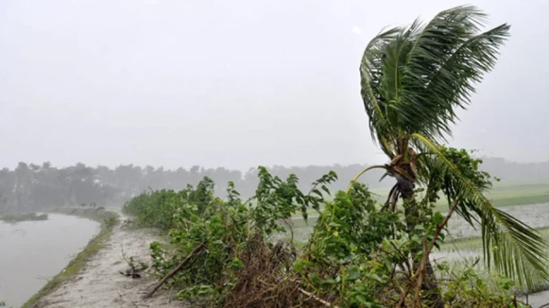 দুপুরের মধ্যে ৬০ কিমি বেগে ঝড়ের আশঙ্কা