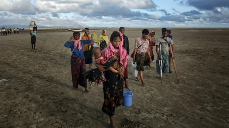 সীমান্তে ড্রোন হামলা, ফিরে যাচ্ছেন রোহিঙ্গারা