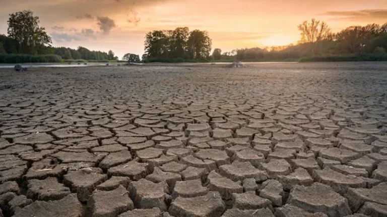 আফ্রিকায় খরার কবলে ৭ কোটি মানুষ