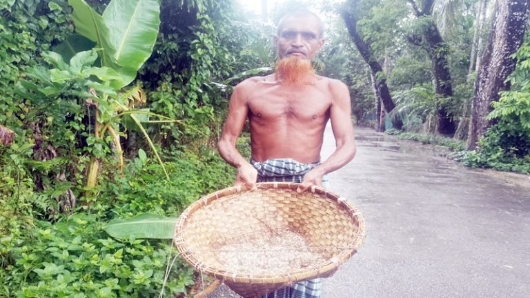 ভোলায় লাল পিঁপড়ার ডিম বিক্রি করে চলে জীবিকা