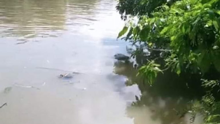 বাউফলে নদী থেকে বৃদ্ধর মরদেহ উদ্ধার