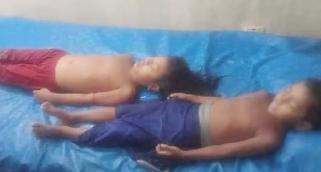 লালমোহনে পুকুরের পানিতে ডুবে ২ বোনের মৃত্যু