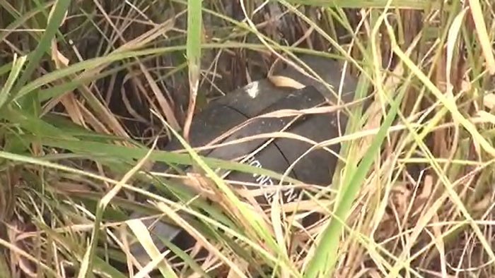 বরিশালে ১ দিনের ব্যবধানে আবারও একটি গ্রেনেড উদ্ধার