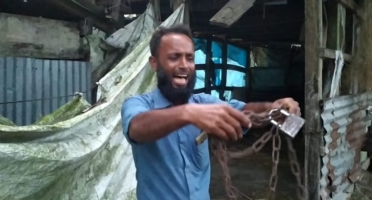 দুমকিতে গরু চুরি হওয়ায় নিঃস্ব দরিদ্র শফিক হাওলাদার