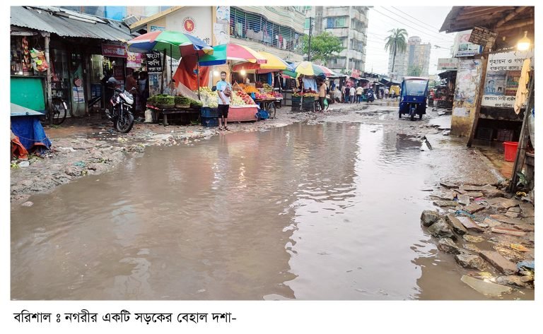 সংস্কারের অভাবে বরিশালের পোর্টরোড সড়কের বেহাল দশা