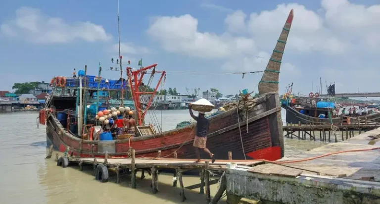 পটুয়াখালীতে ভরা মৌসুমেও ইলিশের দেখা মিলছে না