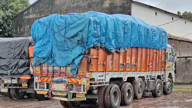 ভারত থেকে এলো আলু, দাম কমতে পারে ৫ টাকা