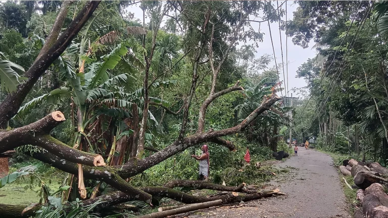 ভোলায় আকস্মিক ঝড়ে বিধ্বস্ত ঘরবাড়ি, শিক্ষাপ্রতিষ্ঠান