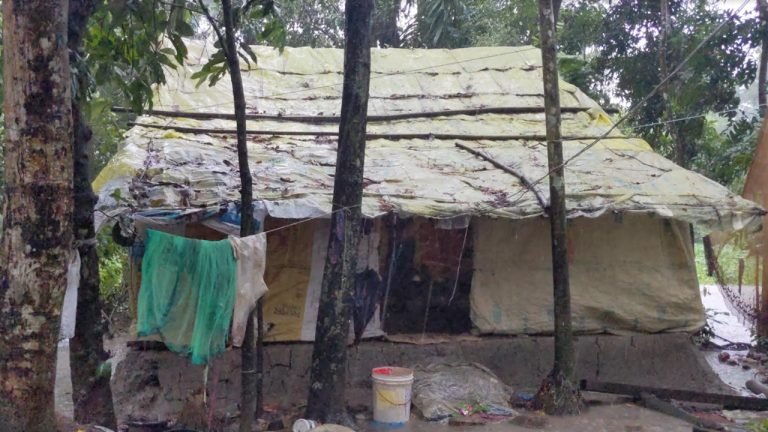 পটুয়াখালীতে বাঁশ আর সিমেন্টের বস্তা দিয়ে তৈরি ঝুপড়ি ঘরে ৭ সদস্যের বসবাস