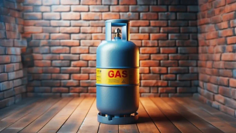 দাম বাড়ল এলপিজির