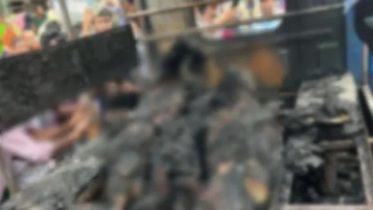 আশুলিয়ায় ৪৬ লাশ পোড়ানোর ঘটনায় ট্রাইব্যুনালে অভিযোগ