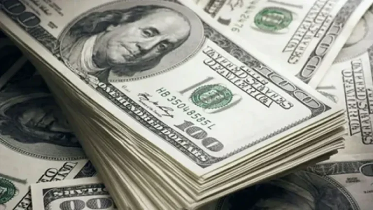 ডলারের কারণে দেশে গ্যাস-বিদ্যুতের সংকট হবে না: জ্বালানি উপদেষ্টা