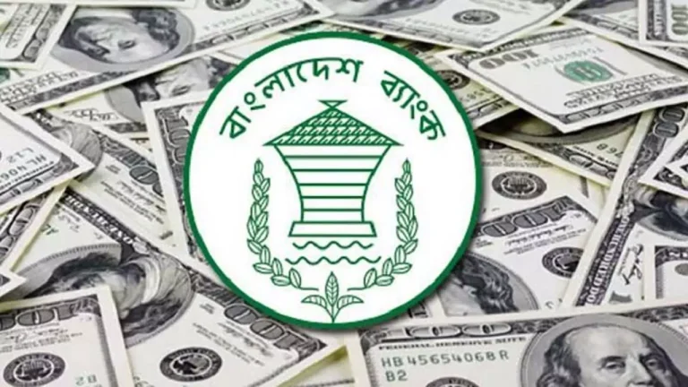 ২১ দিনে প্রবাসী আয় এলো ১৬৩ কোটি ডলার