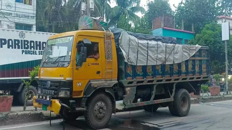 ভারতে রপ্তানির অপেক্ষায় বেনাপোলে ২ ট্রাক ইলিশ