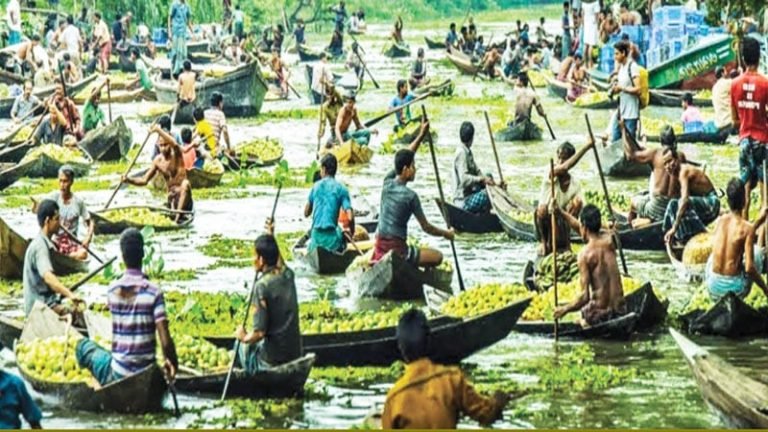 বরিশালের ২২ গ্রামে পেয়ারার রাজত্ব