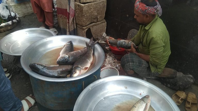 কাটছে না মাছের বাজারের অস্থিরতা, দাম বাড়তেই থাকে