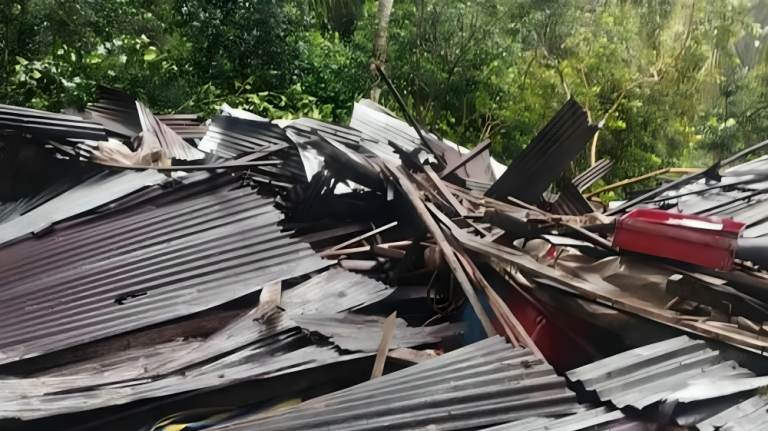 মির্জাগঞ্জে ঘূর্ণিঝড় ‘দানা’র আঘাতে ৭টি ঘর বিধ্বস্ত, আহত ৩ জন