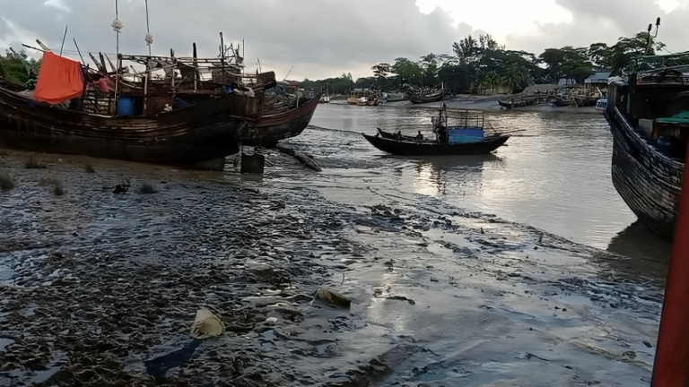 ইলিশ প্রজননে বাধা, পলিবর্জ্য ও ডুবোচরের প্রভাব