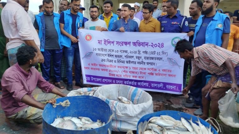 তালতলীতে নিষেধাজ্ঞা অমান্য করে ইলিশ ধরায় ৭ জেলেকে জরিমানা