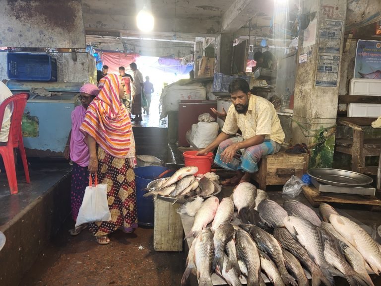 পটুয়াখালীতে দেশী মাছ বিলুপ্তির পথে