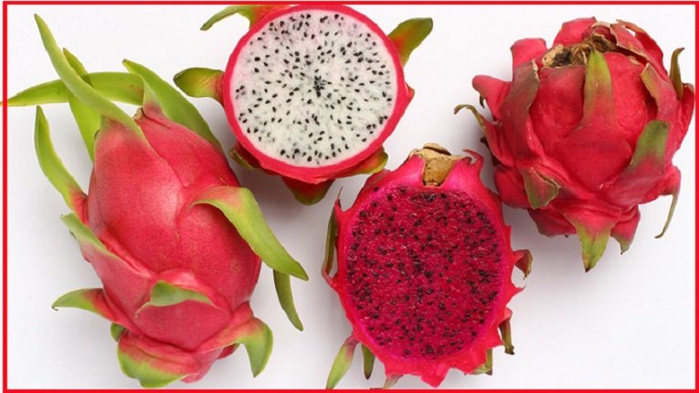 কেন খাবেন আমেরিকার ফল ড্রাগন?