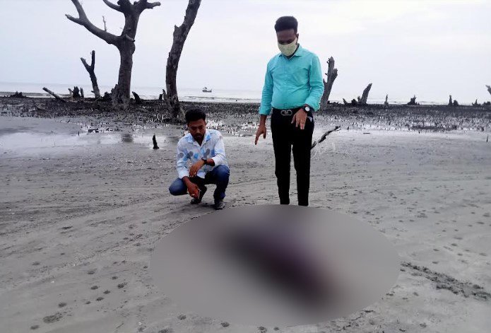 কুয়াকাটা সৈকতে ভেঁসে এসেছে মৃত ডলফিন