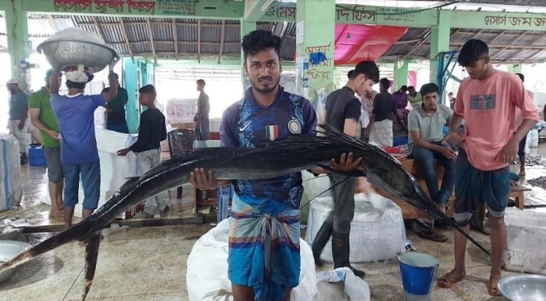 একদিনের ব্যবধানে আবারো ধরা পড়লো বিশালাকৃতির দুই জোড়া পাখি মাছ