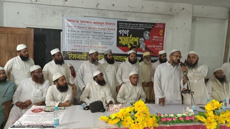 বাবুগঞ্জে ইসলামী আন্দোলন বাংলাদেশের গণ সমাবেশ অনুষ্ঠিত