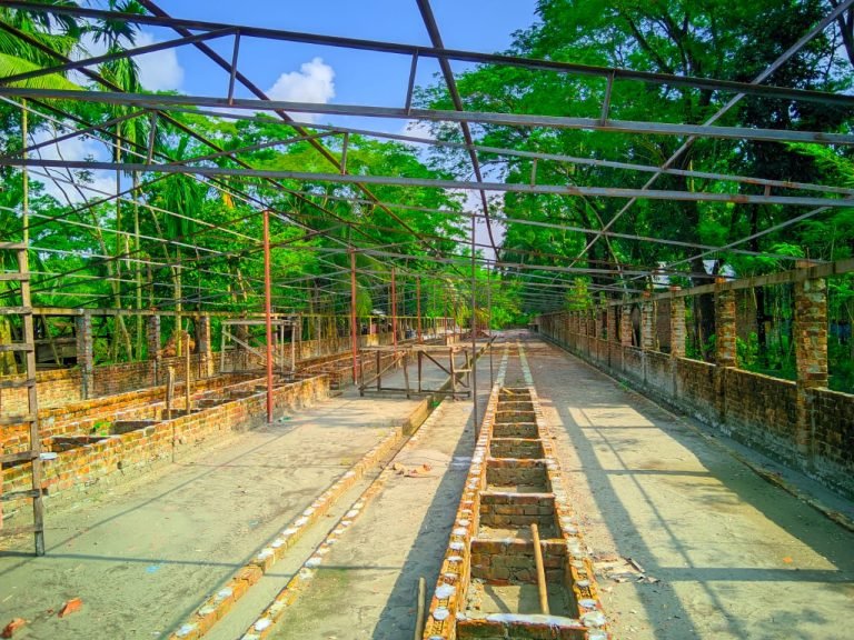 আমতলীতে ওয়াকফ্ জমিতে অবৈধভাবে ডেইরি ফার্ম নির্মাণ – প্রশাসনের সহায়তা দাবী ভুক্তভোগীদের