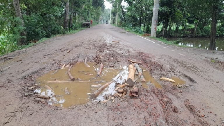 বাউফলে ৮ কিলোমিটার সড়কের বেহাল দশা