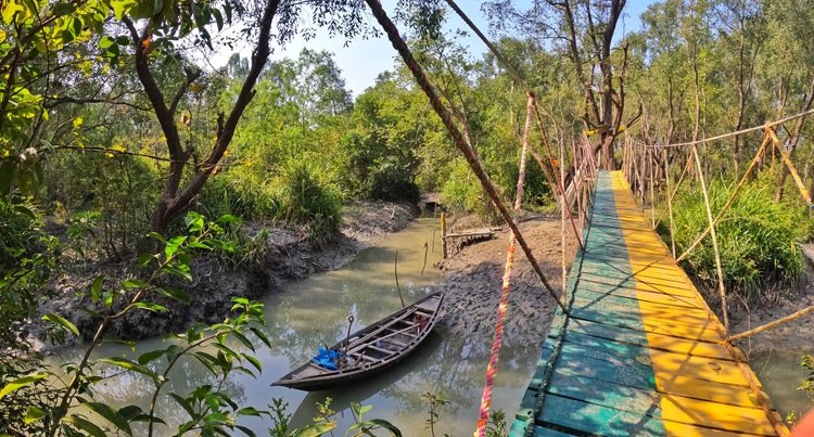 ভোলার সাগরমোহনার অপরূপ সবুজদ্বীপ কুকরি-মুকরি পর্যটকদের আকর্ষণে মুখরিত