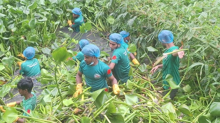 বরগুনায় মশার প্রজননস্থল বিনষ্ট ও ডেঙ্গু প্রতিরোধে খাল পরিষ্কার অভিযান
