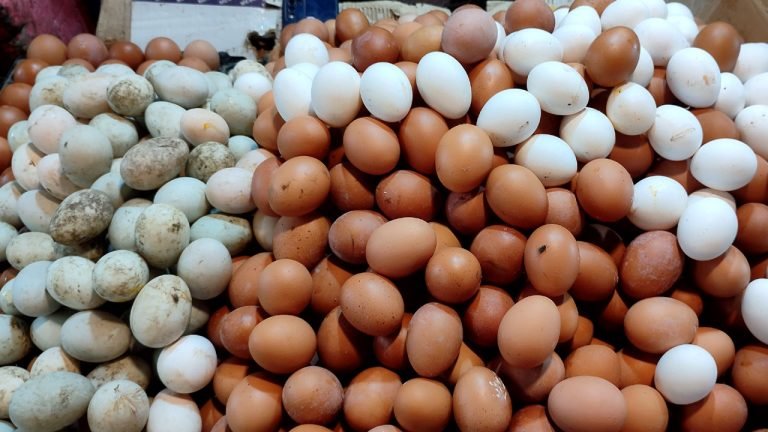  বাজারে কমেছে ডিমের দাম, সরকারের পদক্ষেপের সুফল