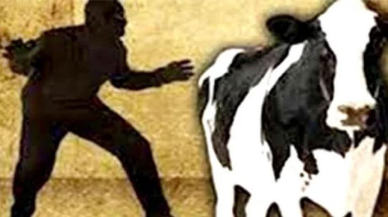 মির্জাগঞ্জে কৃষকের ৫টি গরু চুরি