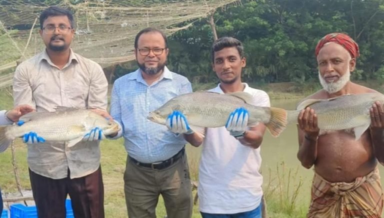 পুকুরে কোরাল চাষে সফল পটুয়াখালীর আনোয়ার