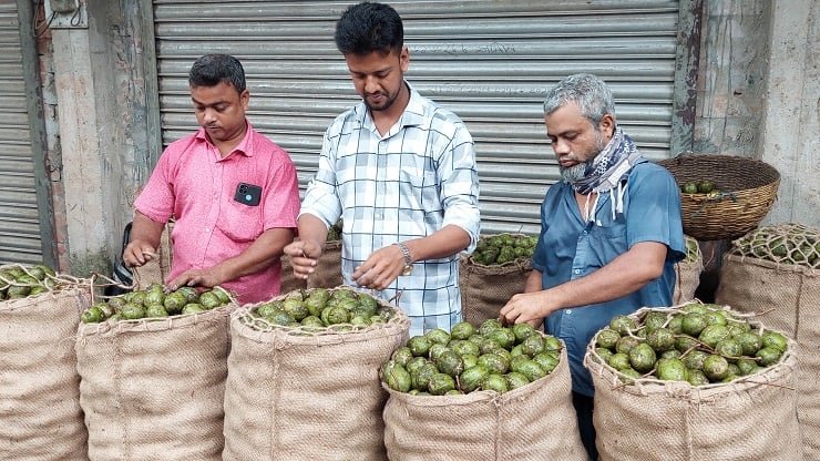 পিরোজপুরের সুস্বাদু আমড়ার খ্যাতি দেশজুড়ে