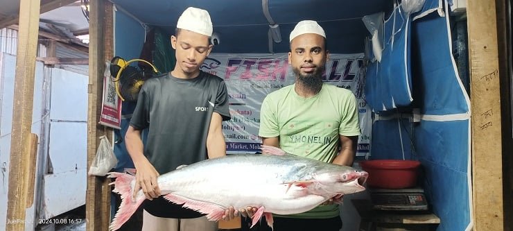 কুয়াকাটায় জেলের জালে ধরা পড়ল ১৪ কেজির পাঙ্গাশ