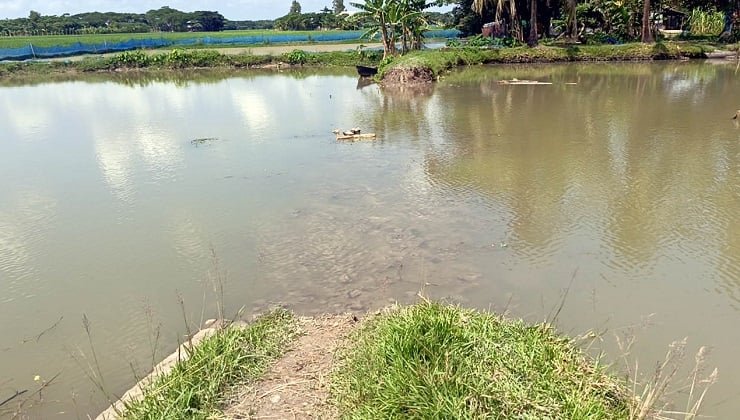 পটুয়াখালীতে সরকারি খাল দখলমুক্ত করতে গিয়ে হামলায় আহত ৫