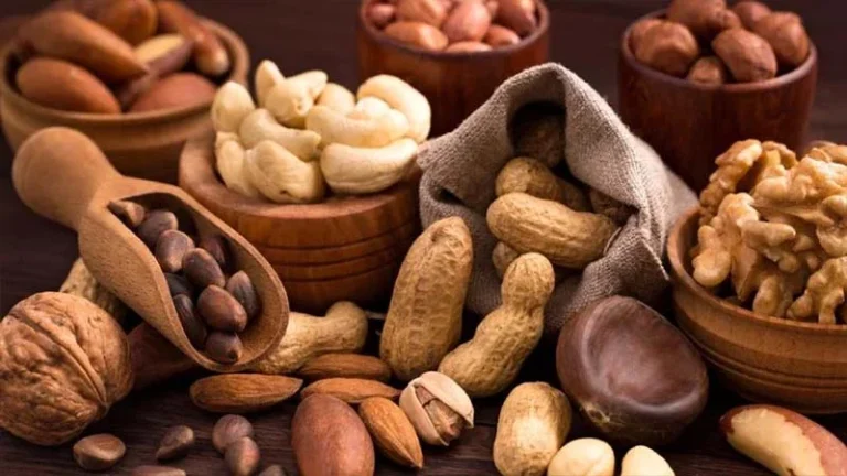 বাদাম কি সত্যিই ওজন বাড়ায়? এর উপকারিতা ও ক্ষতিকর দিক জানালেন পুষ্টিবিদ